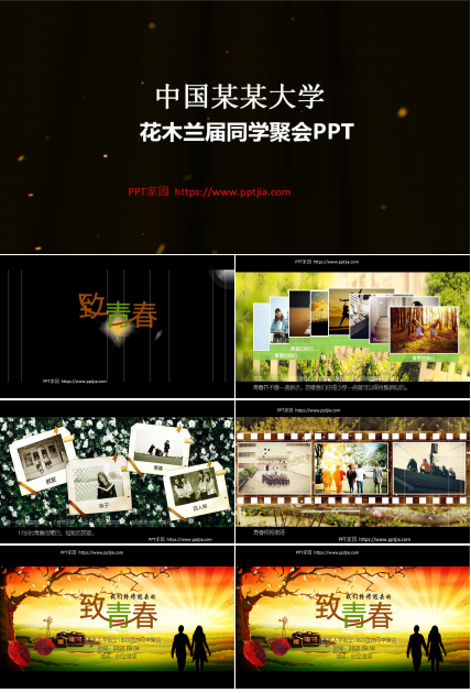 时尚创意致青春同学聚会PPT模板