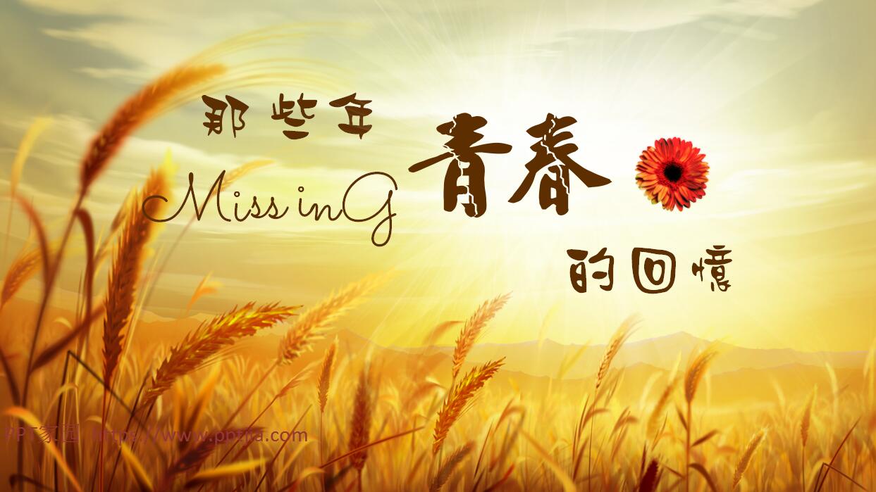 青春简约风格同学聚会PPT模板