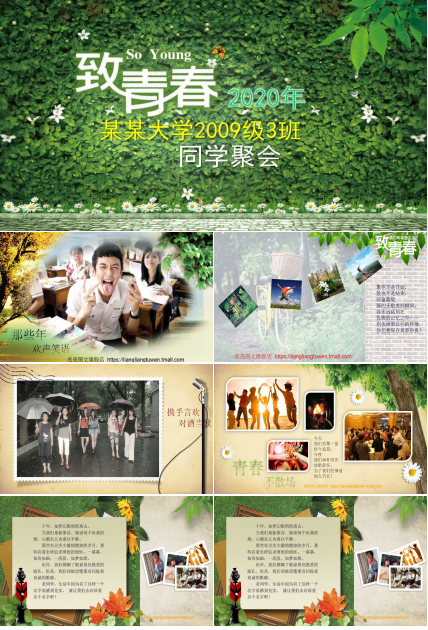 精美漂亮同学聚会致青春ppt模板
