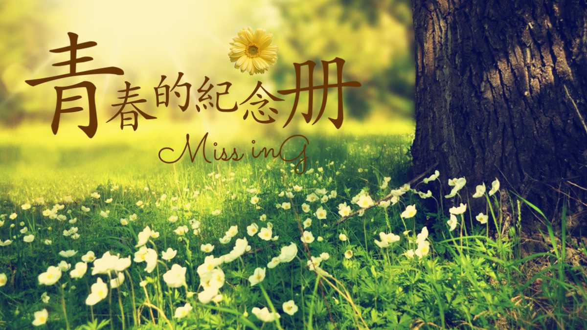 精美相册主题同学聚会ppt模板