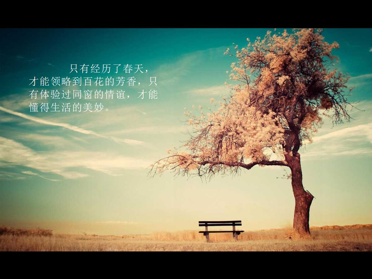 怀旧复古青春同学聚会ppt模板