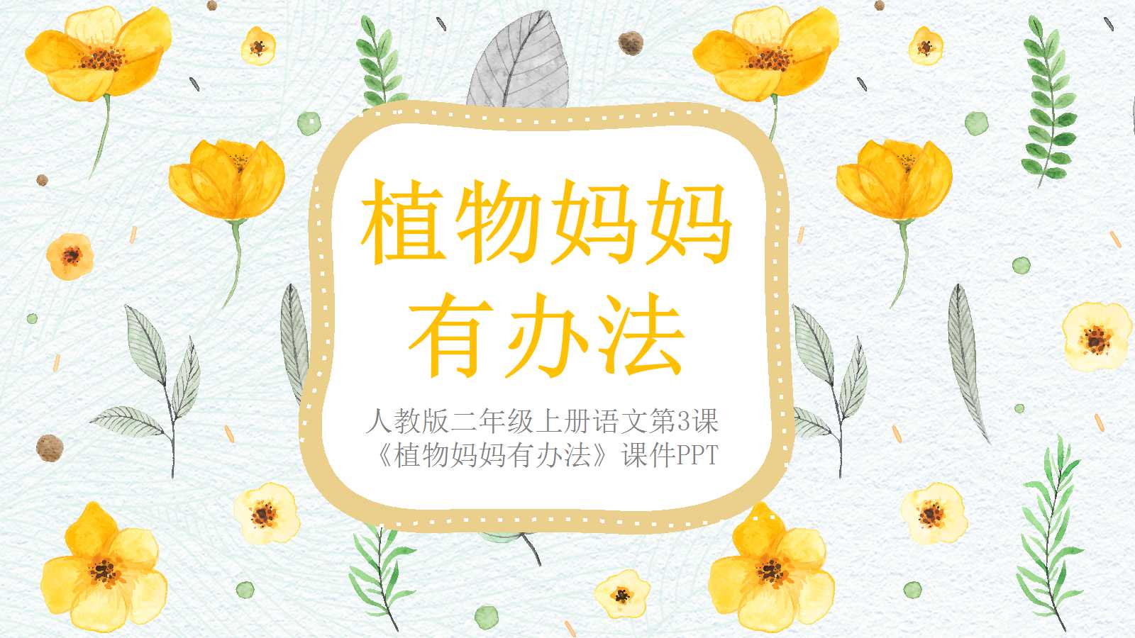 植物妈妈有办法ppt课件