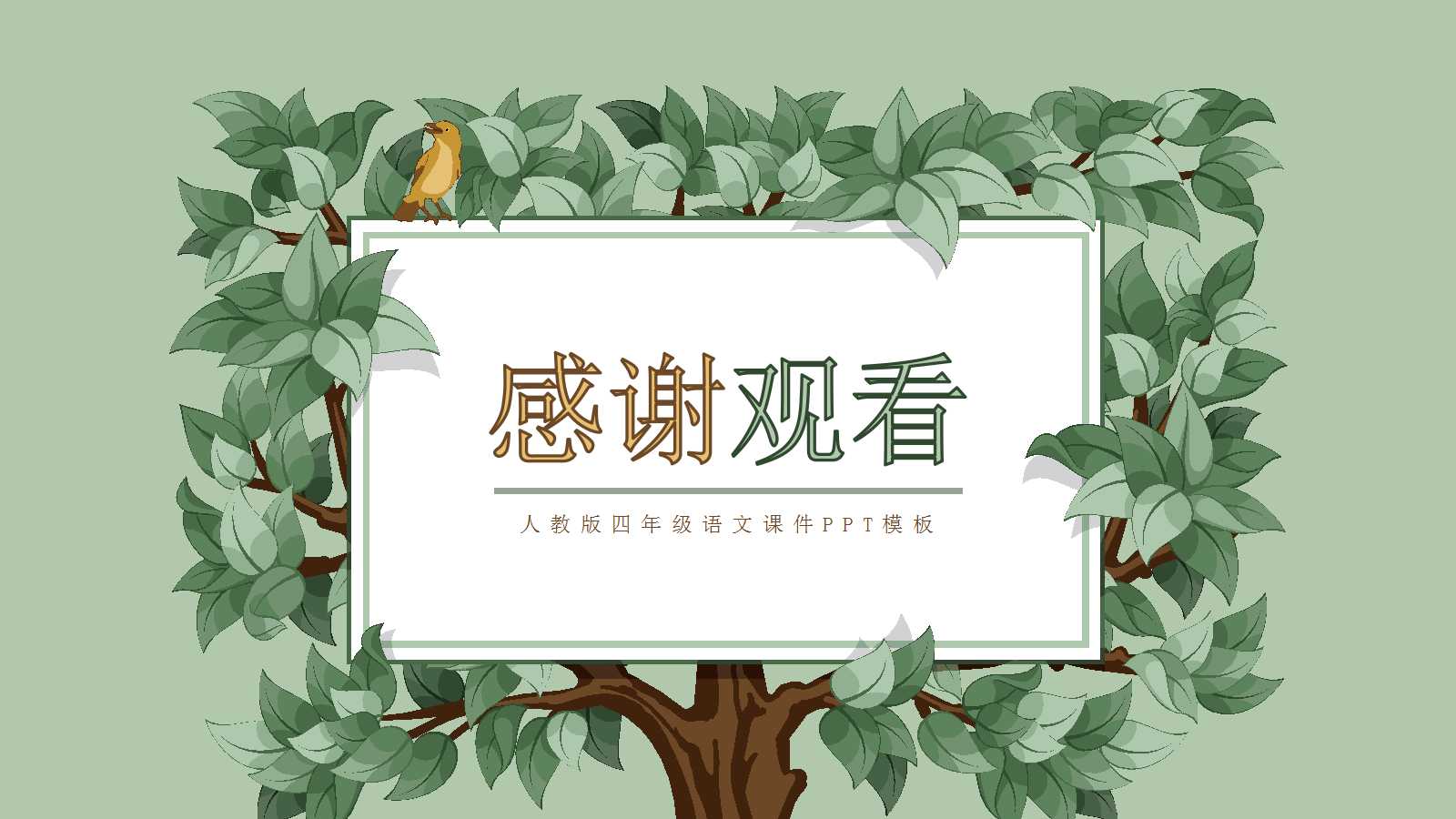 鸟的天堂ppt课件