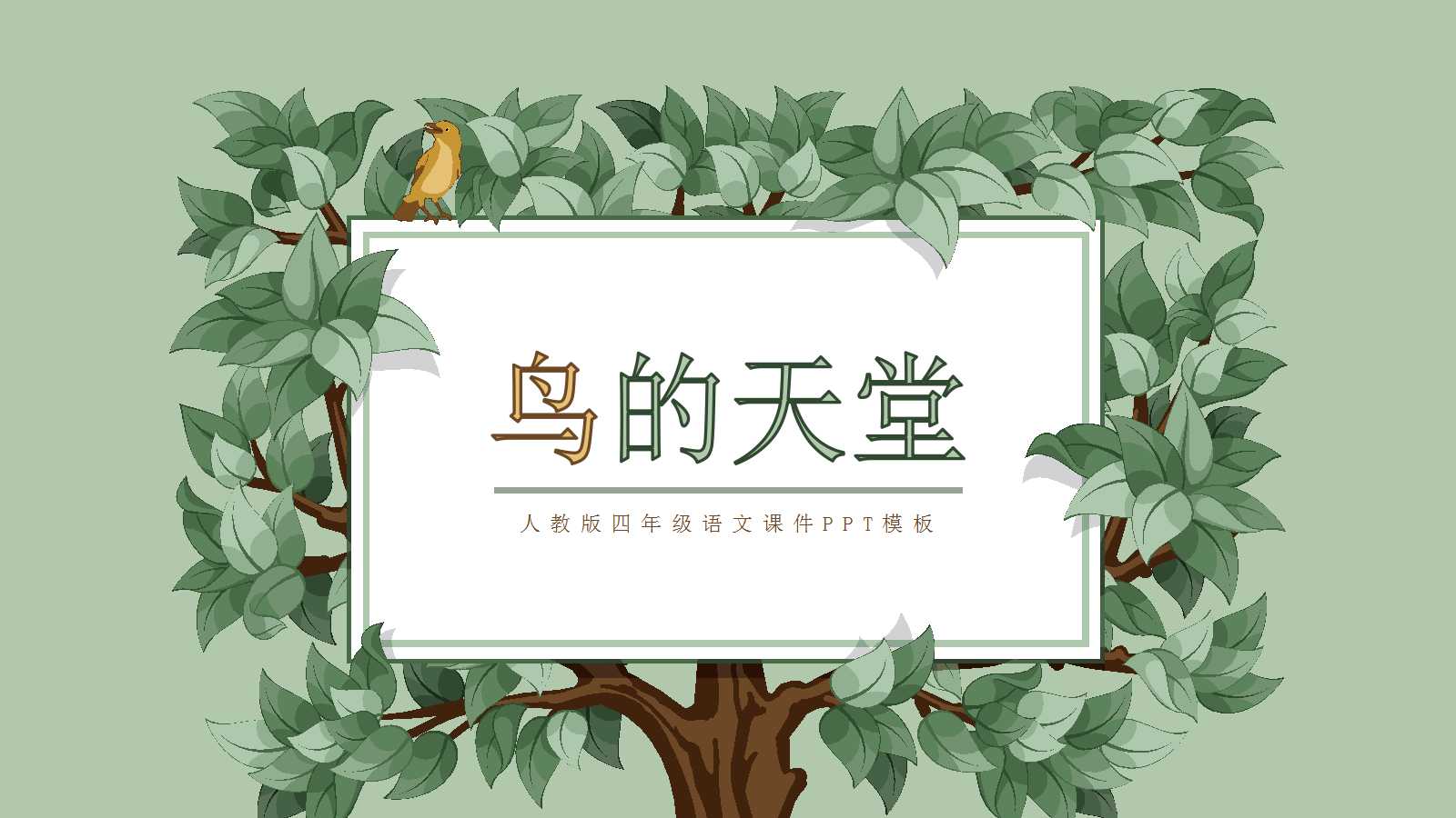鸟的天堂ppt课件