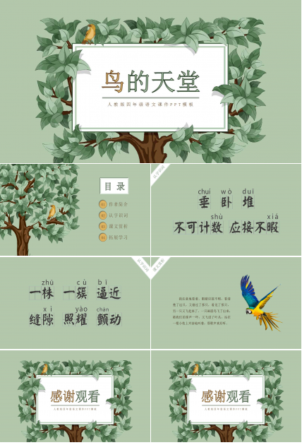 鸟的天堂ppt课件