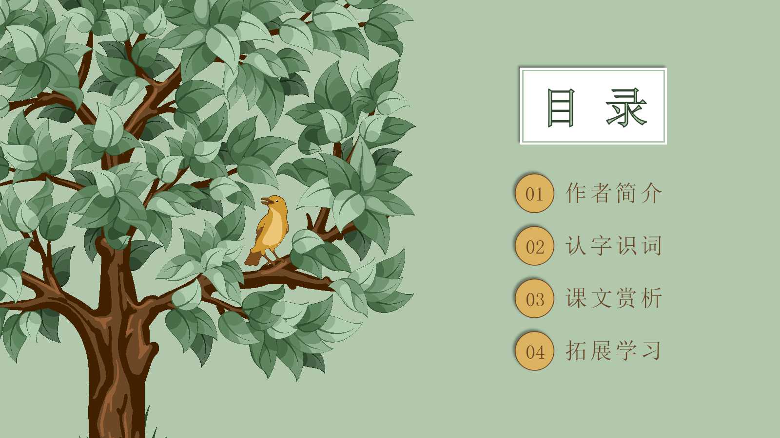 鸟的天堂ppt课件