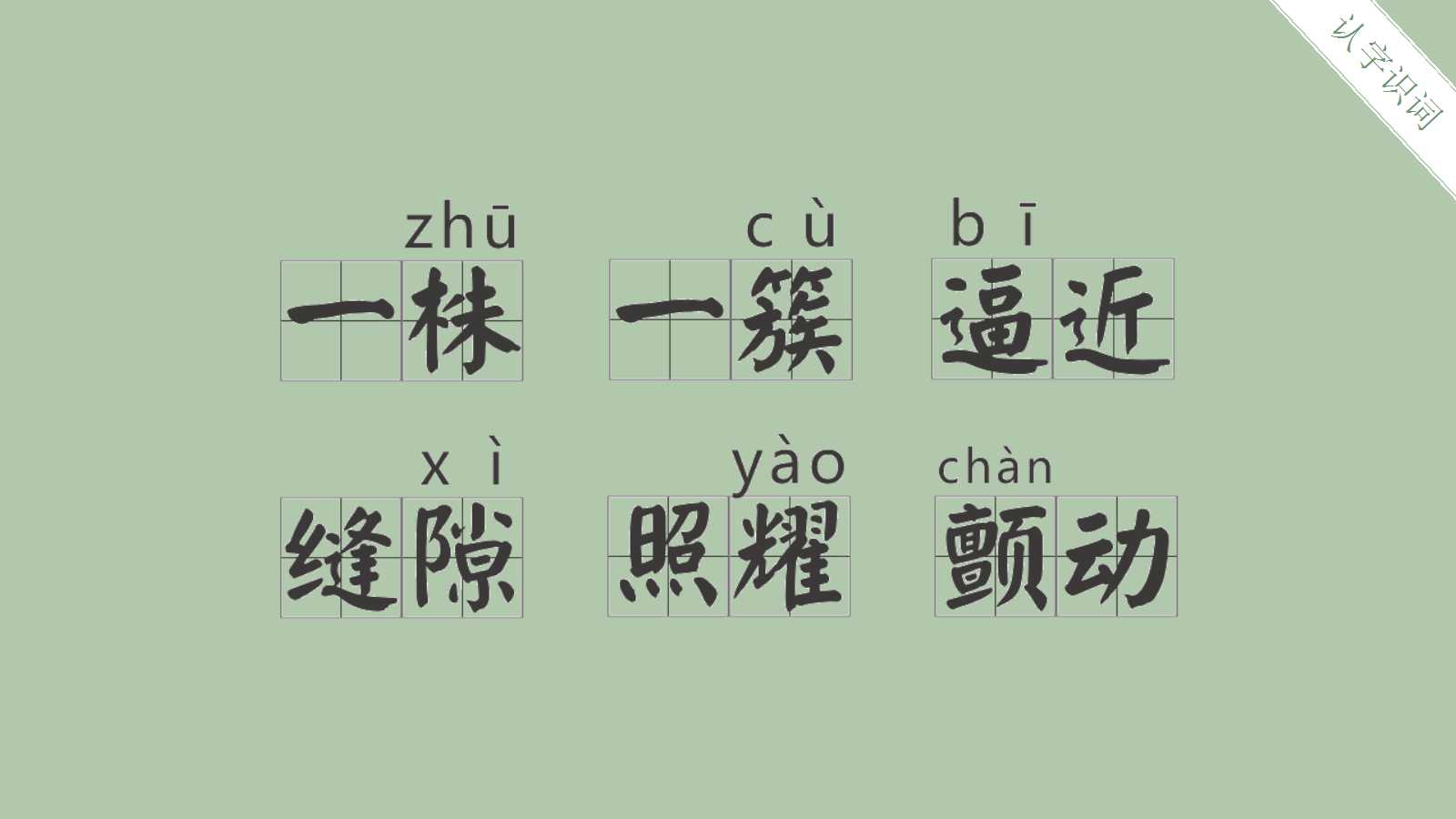 鸟的天堂ppt课件