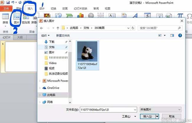 在ppt上怎样把图片裁剪成圆形图片