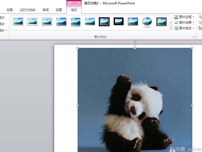 在ppt上怎样把图片裁剪成圆形图片