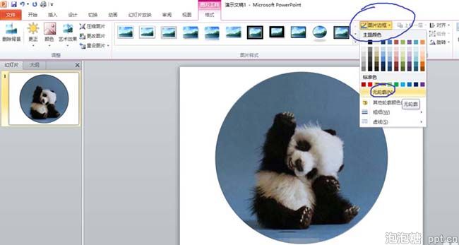 在ppt上怎样把图片裁剪成圆形图片