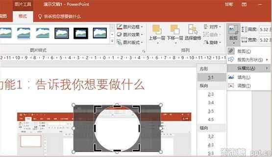 如何快速实现ppt中图片局部放大效果图片