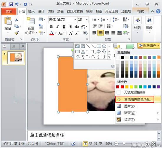 ppt2010中利用透明遮罩手法图片