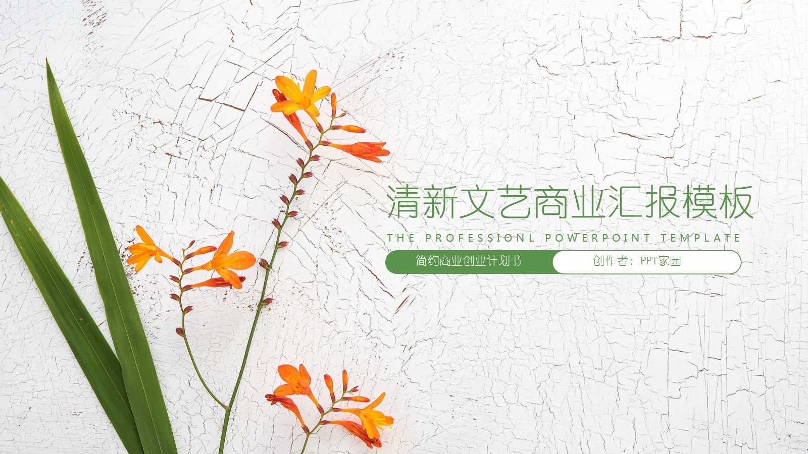 清新文艺清爽商业汇报ppt模板