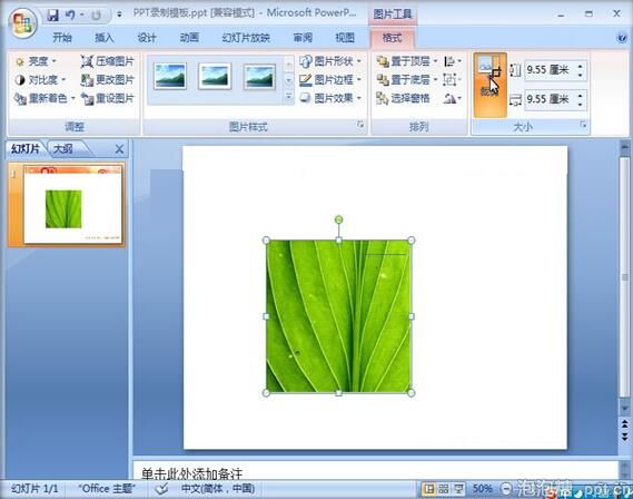 ppt2007制作图片烧焦效果教程图片