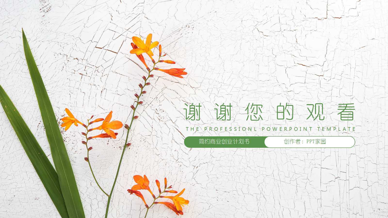 清新文艺清爽商业汇报ppt模板