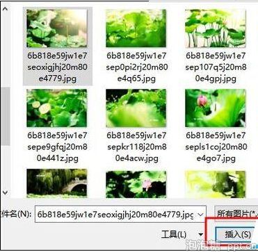 让ppt插入的图片响应源文件图片