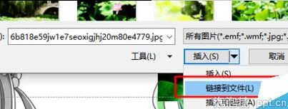 让ppt插入的图片响应源文件图片