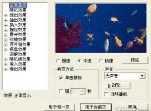 ppt播放插入flash指定片段