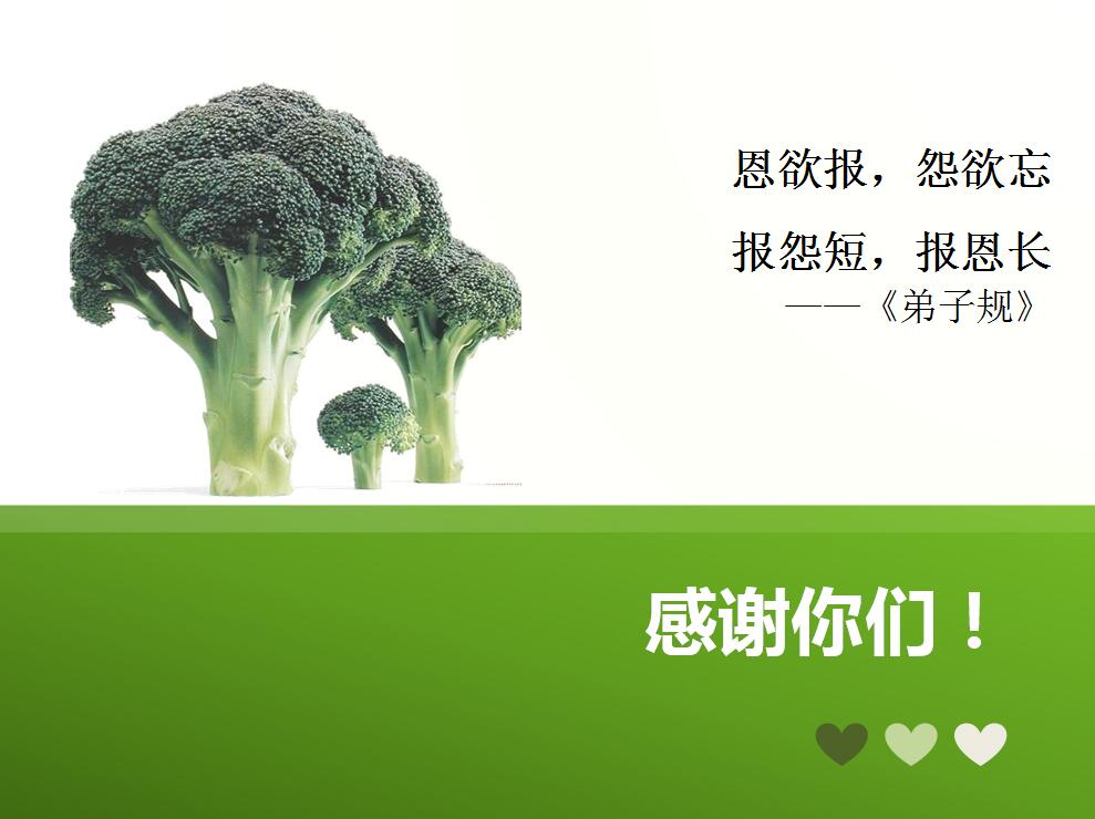 大学生论文答辩PPT模板