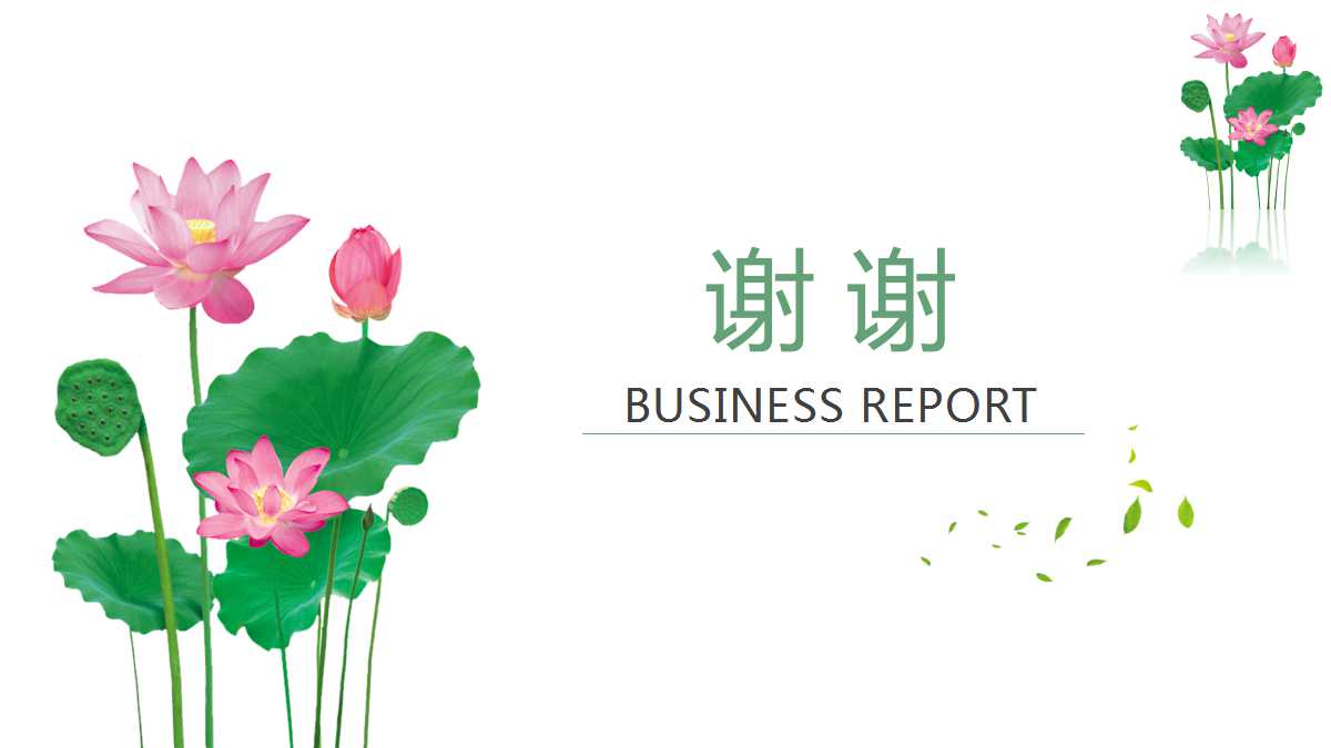 经典-美丽荷花PPT模板免费下载