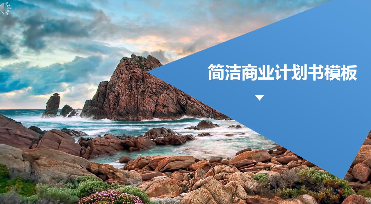 蓝色简洁商业计划书PPT模板