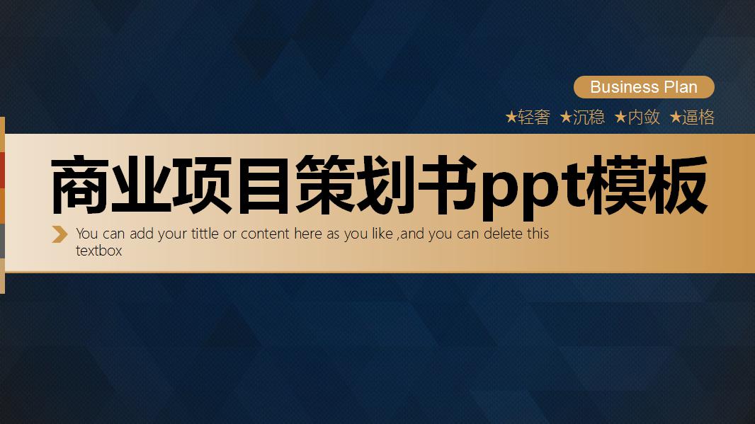 大气简洁商业项目策划书ppt模板