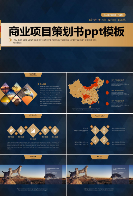 大气简洁商业项目策划书ppt模板