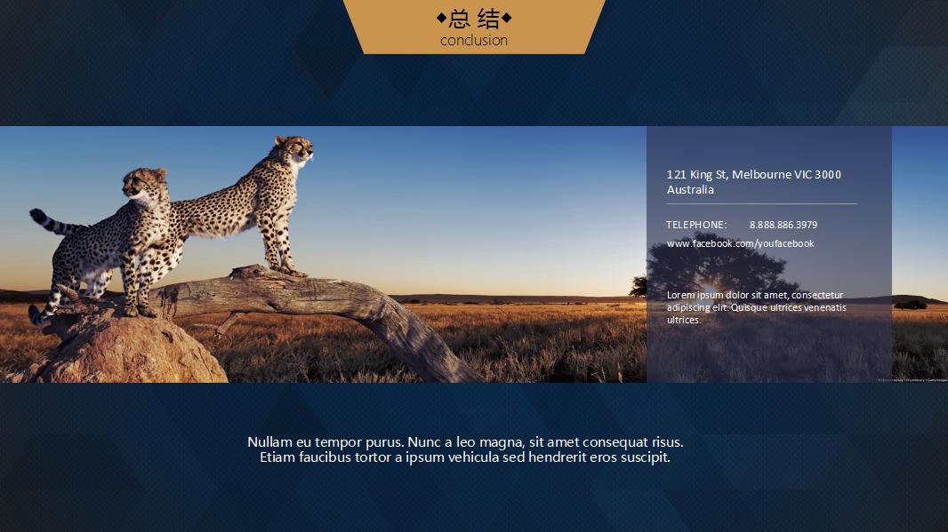 大气简洁商业项目策划书ppt模板