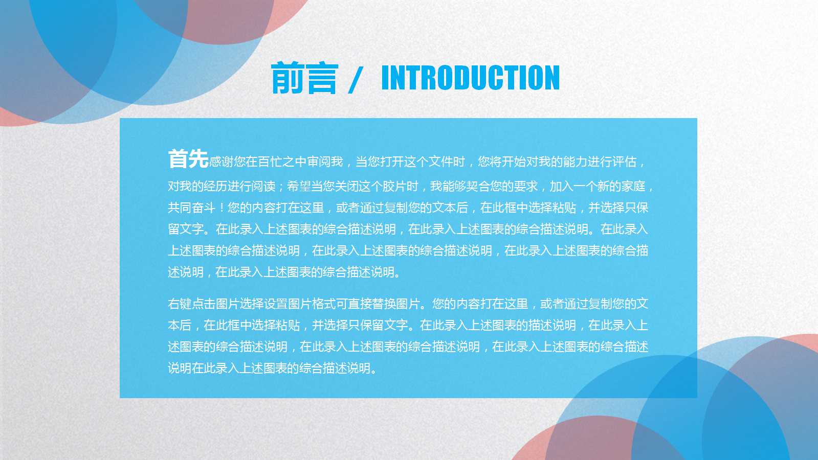创意精美圆圈工作总结ppt模板