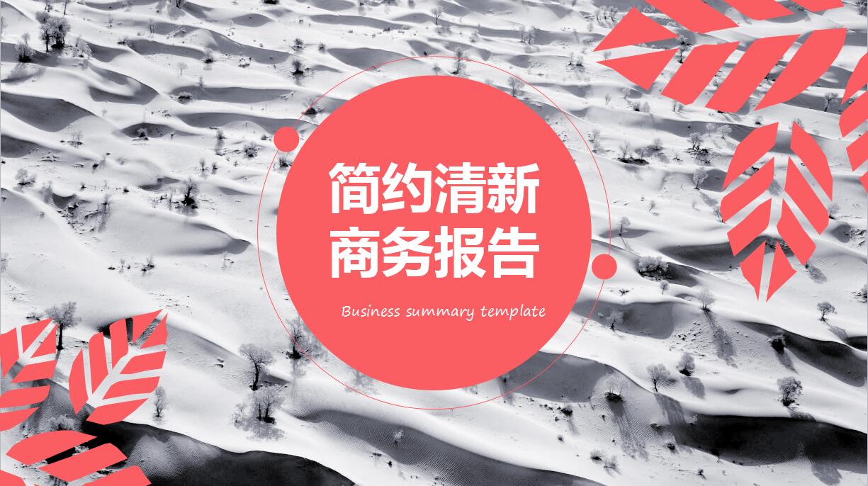 清新简约个人工作总结ppt模板下载