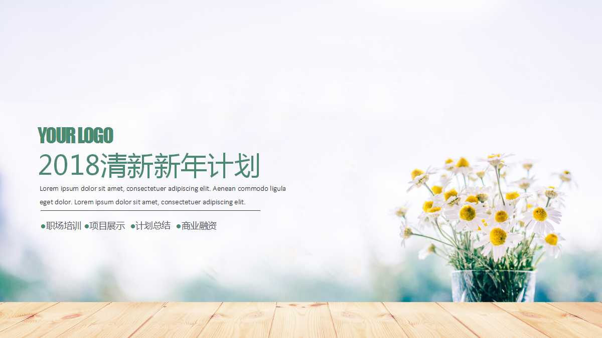 清新简约精美新年计划ppt模板