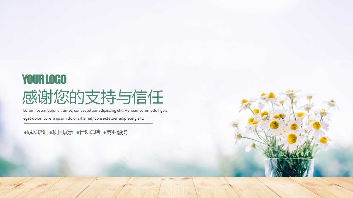 清新简约精美新年计划ppt模板