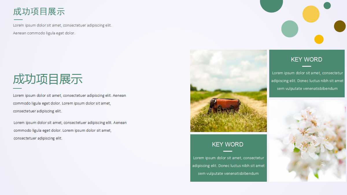 清新简约精美新年计划ppt模板