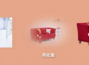 PPT设计中图片有什么处理方法