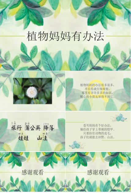 植物妈妈有办法ppt课件