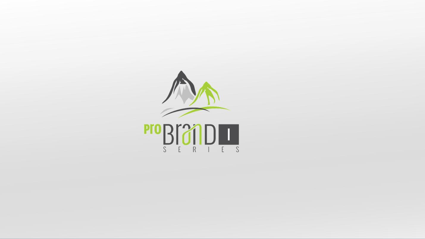 白色简洁公司项目介绍ppt模板