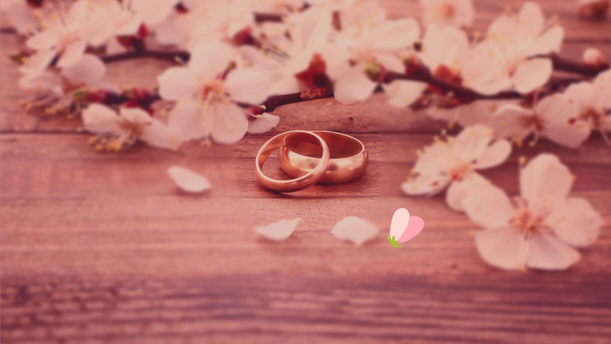 粉色唯美婚庆电子相册ppt模板