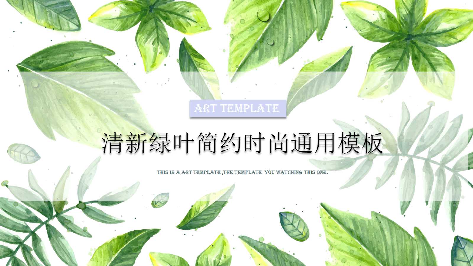 精美清新绿色树叶工作总结ppt模板