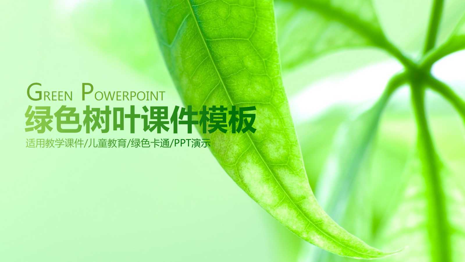 绿色树叶教学说课ppt模板