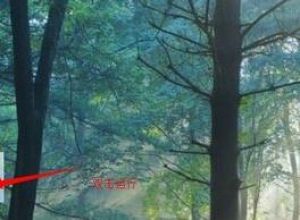 如何用wps演示制作的PPT课件