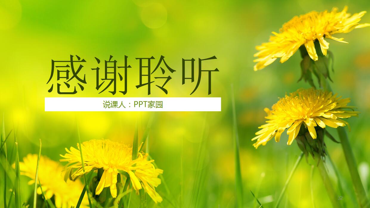 文艺清爽教师说课通用ppt模板