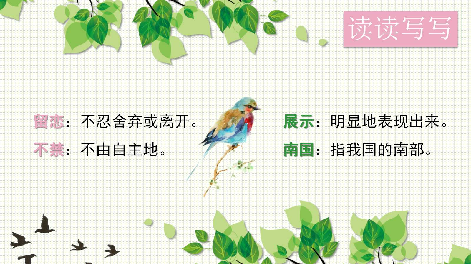 鸟的天堂课文ppt课件