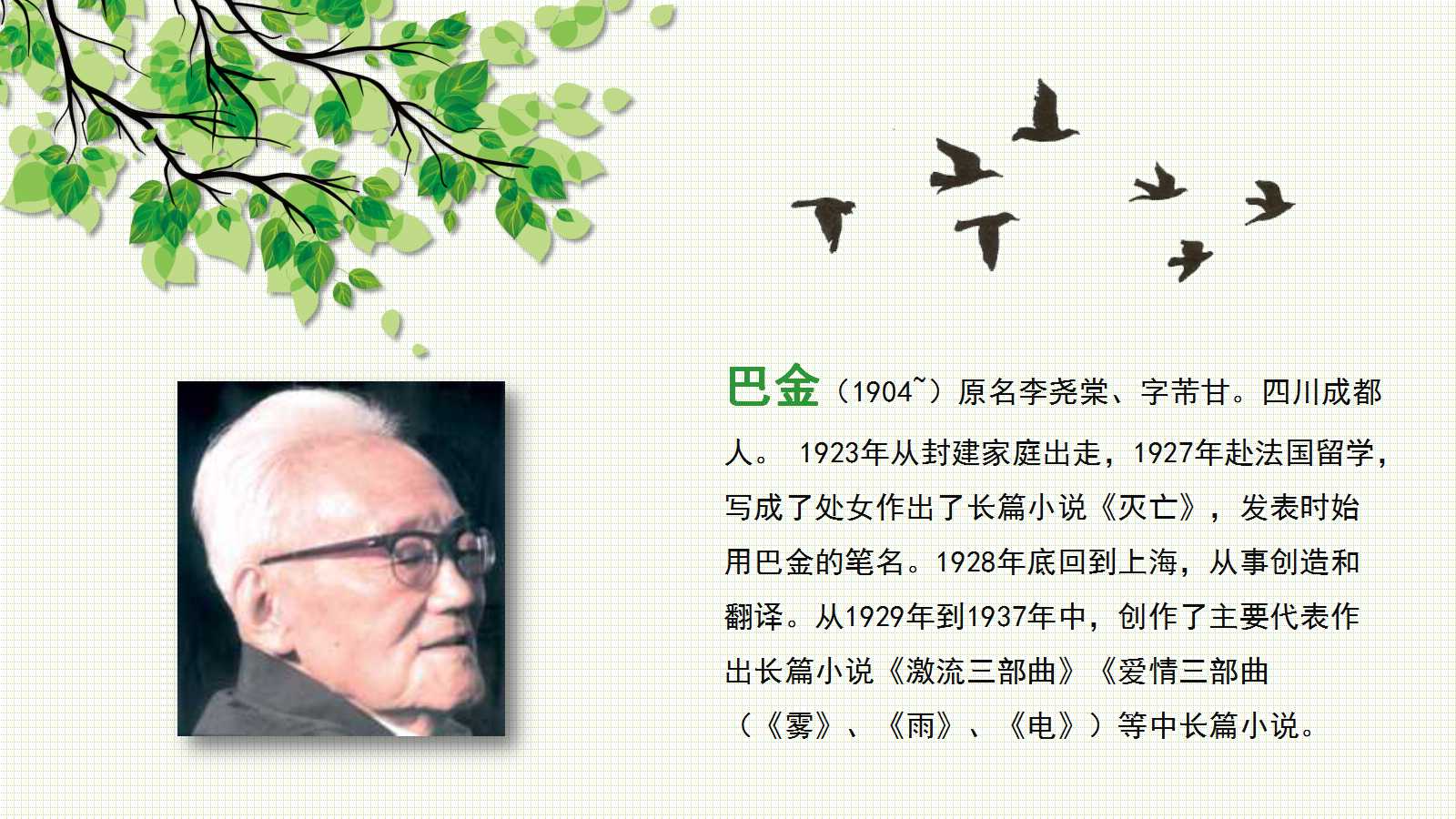 鸟的天堂课文ppt课件