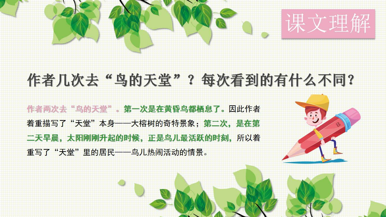 鸟的天堂课文ppt课件