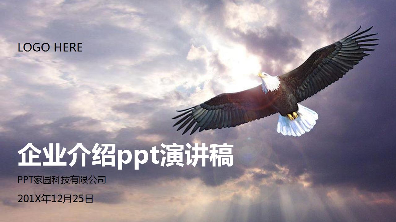 企业介绍ppt演讲稿