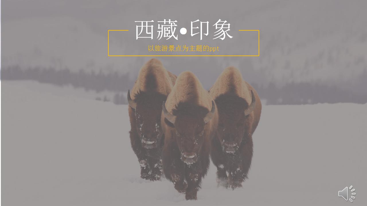 以旅游景点为主题的ppt模板_西藏印象