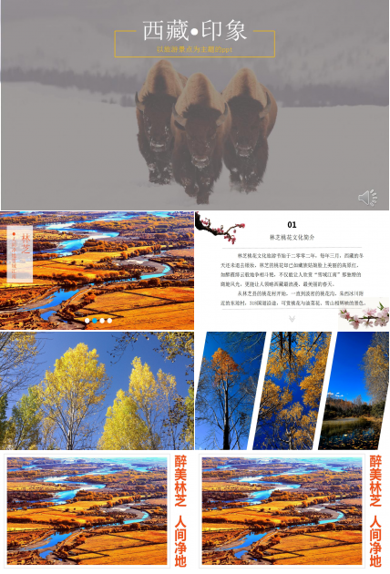 以旅游景点为主题的ppt模板_西藏印象