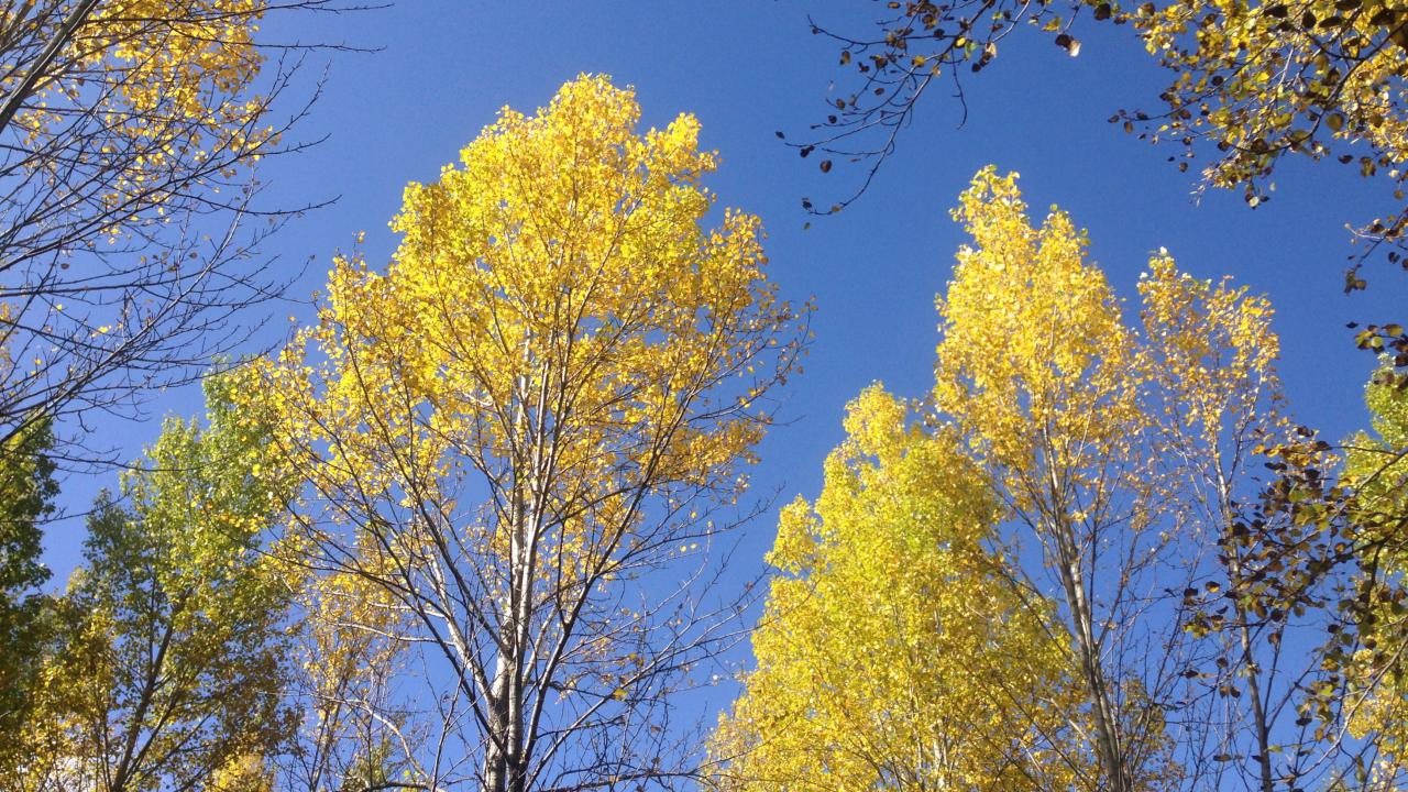 以旅游景点为主题的ppt模板_西藏印象