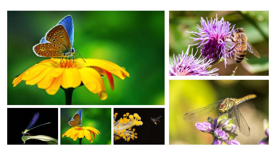 关于旅行的ppt幻灯片