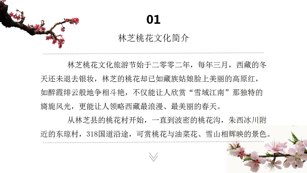 以旅游景点为主题的ppt模板_西藏印象